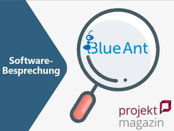 Softwarebesprechung und Logo Blue Ant