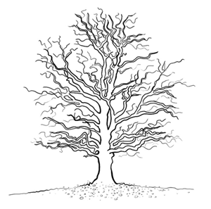 Bild 1: Ein Baum als Sinnbild für Impact Map (Baumstamm), Story Map (dicke Äste) und User Storys. Die User Storys als Blätter liegen hier noch ungeordnet am Boden.