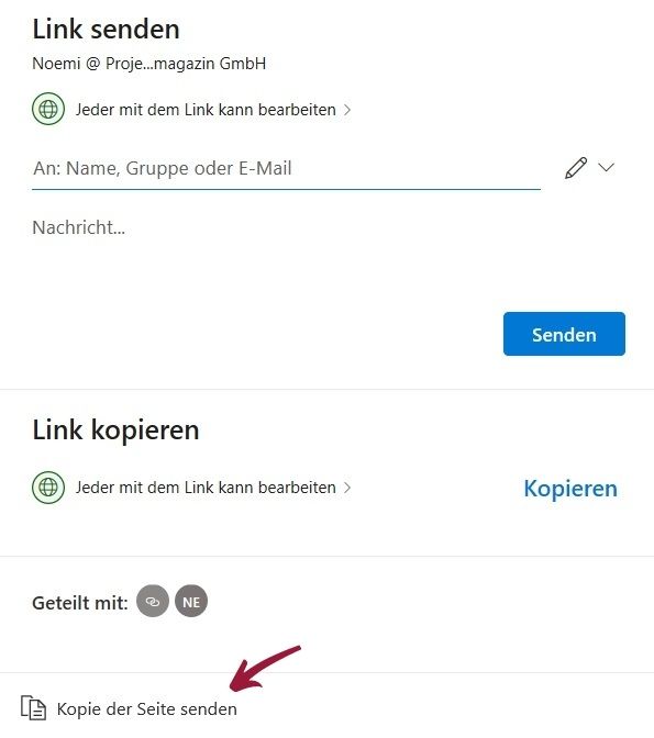 Bild 11: Einzelne Seiten zur Ansicht können Sie über den Button Kopie der Seite senden per Mail verschicken
