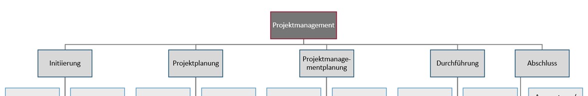 PSP mit generischen Projektphasen