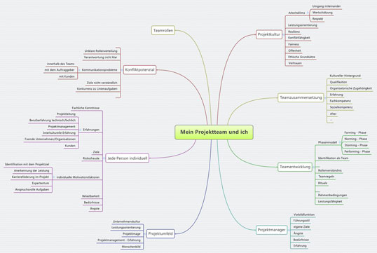 Projektmanager und Projektteam