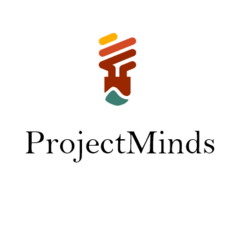 Projektmanager, PMO