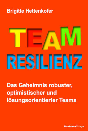 Buch: Team-Resilienz