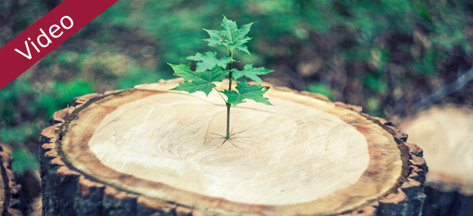 Marktchancen entwickeln und durchstarten