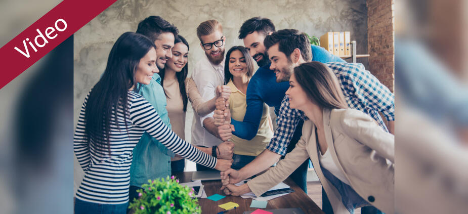 Warum Sie für den Aufbau eines ganzheitlichen PMOs Mitstreitende brauchen