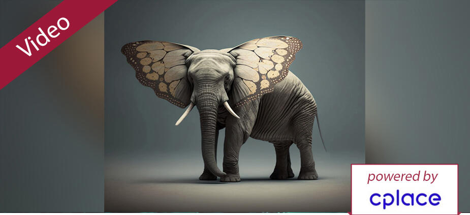 Websession: Let’s talk about hybrid PM – Experten teilen ihre Erfahrungen