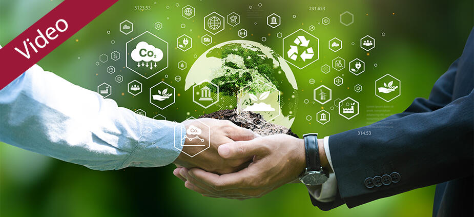 Eco-Boost: So managen Sie nachhaltig(e) Projekte, um die Welt zu verändern