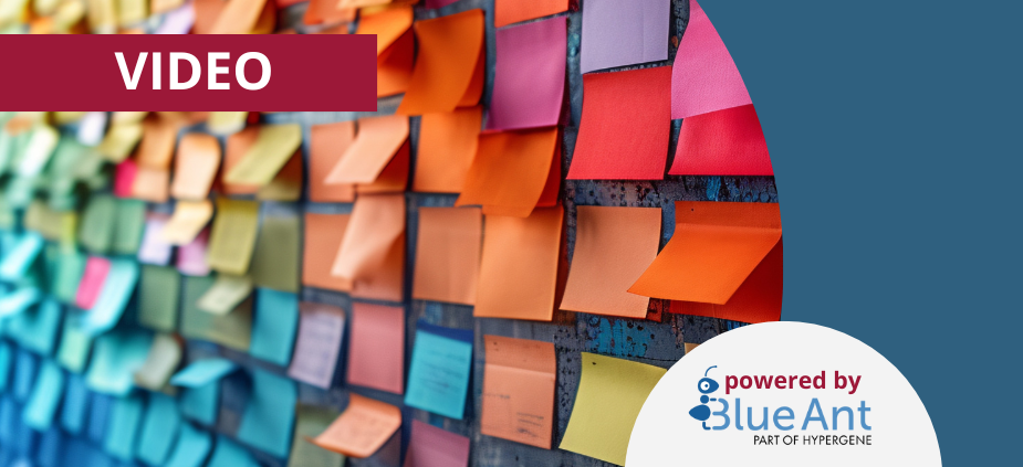 Effizientes PortfolioManagement