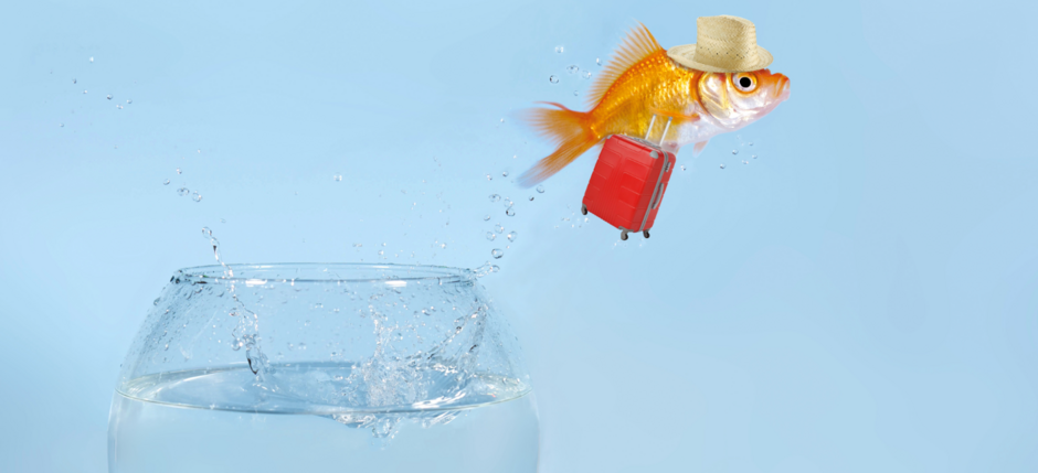 Scrum-Master-Tausch: Agiles Experiment mit Überraschungseffekt