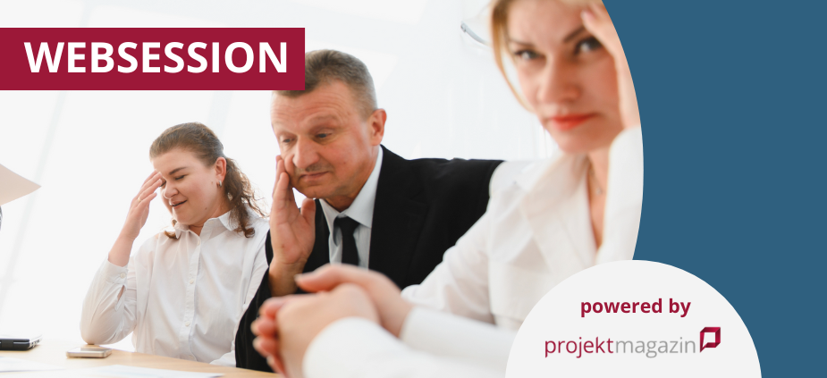 Weiche Faktoren im Risikomanagement: Wie Kommunikation, Führung und Kultur Projektrisiken entscheiden