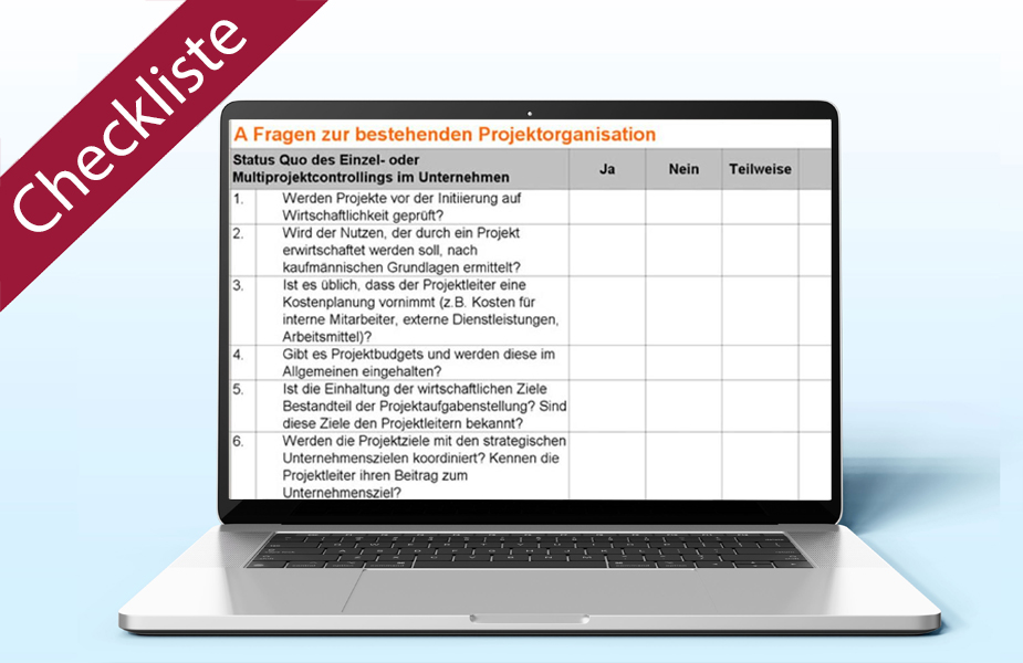 Projektcontrolling Voraussetzungen | Checkliste Excel 