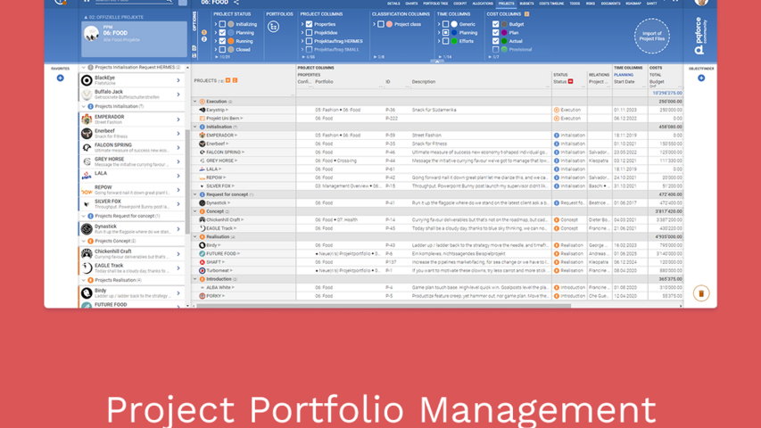 Ein Screenshot der Projektportfolio-Verwaltungsansicht von PQFORCE