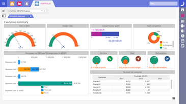 Executive Summary Portfolio