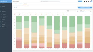 Projektauswertung Performance Verlauf