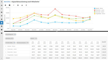 Individuelle Reporting- und Analysemöglichkeiten in Meisterplan