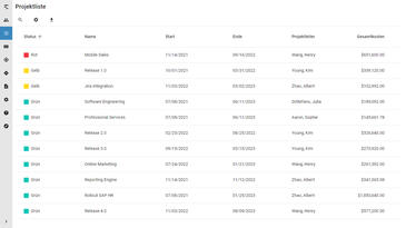 Sehen Sie die wichtigsten Projektinformationen in einer übersichtlichen Tabelle.