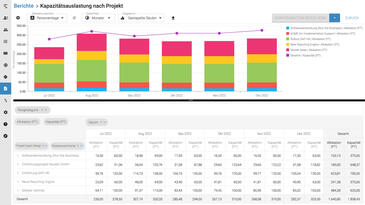 Individuelle Reporting- und Analysemöglichkeiten in Meisterplan