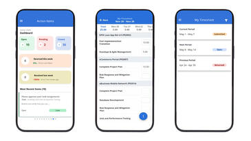 Mobile Zeiterfassung in Clarity 