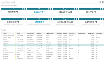 Projektübergreifend Projekte evaluieren - PMO mit objectiF RPM