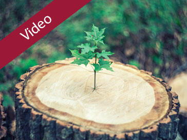 Websession: Marktchancen entwickeln und durchstarten