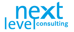 Logo der next level consulting