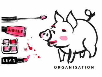 Schluss mit Lipstick Agile - hin zur nachhaltigen Organisationsentwicklung