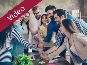 Warum Sie für den Aufbau eines ganzheitlichen PMOs Mitstreitende brauchen