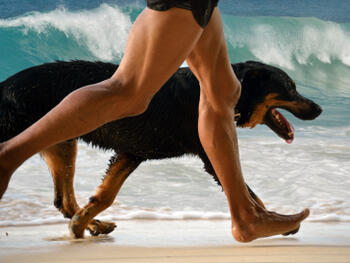 Sustainable Pace – mehr Produktivität in agilen Projekten