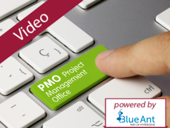 Let's Play: PMO Support für Ihr Multiprojektmanagement live einrichten