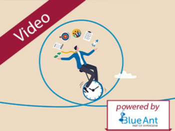 Nachhaltiges Multiprojektmanagement Schritt für Schritt aufbauen - So geht’s