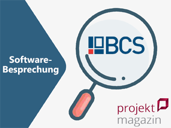 Business Coordination für projektorientierte Unternehmen