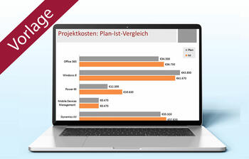 Plan-Ist-Vergleich