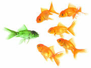 Wie Sie Akzeptanz für Veränderungen erreichen