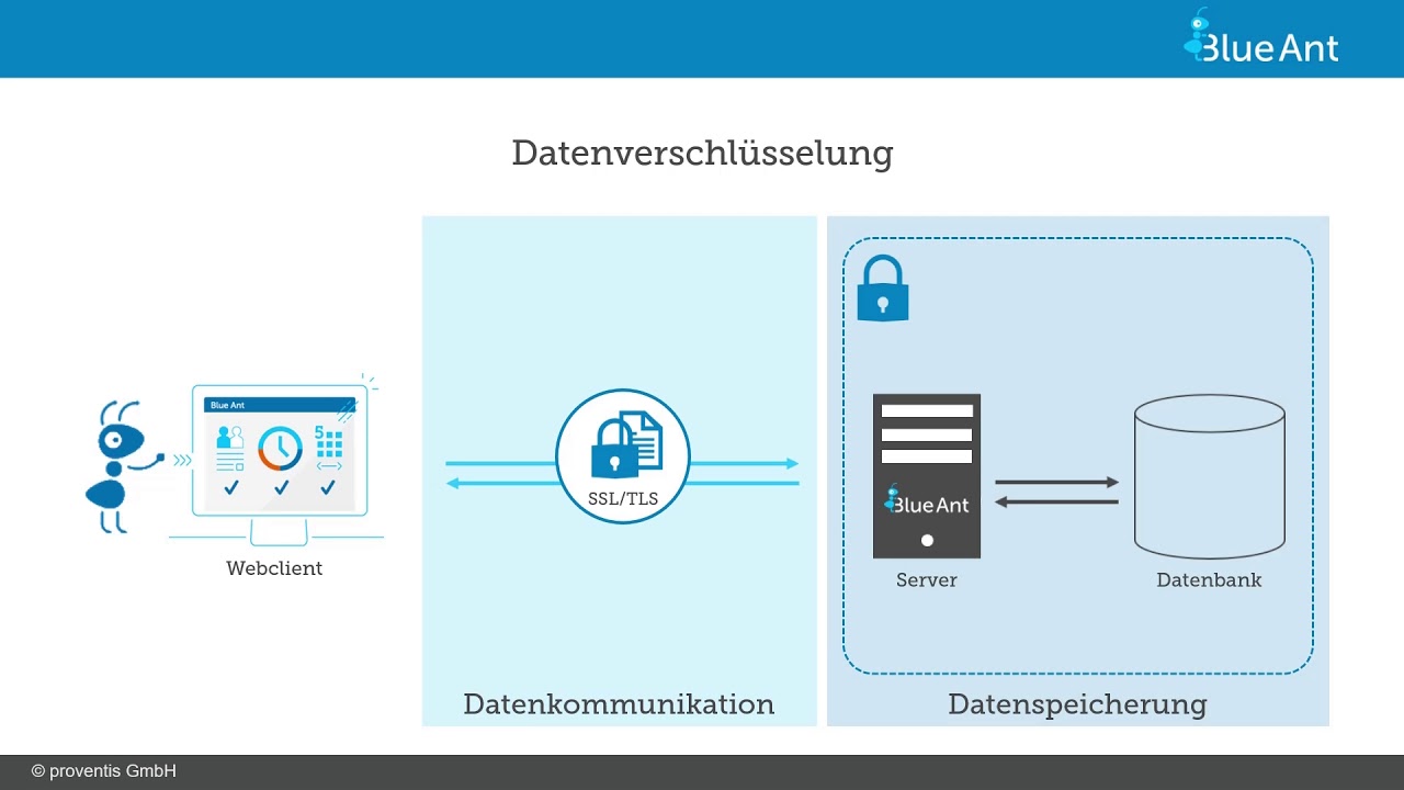 Preview image for the video "DSGVO Blue Ant".